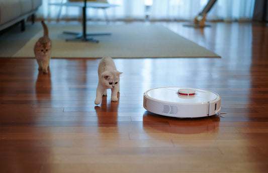 6 Things you need to know before buying a robot vacuum cleaner?